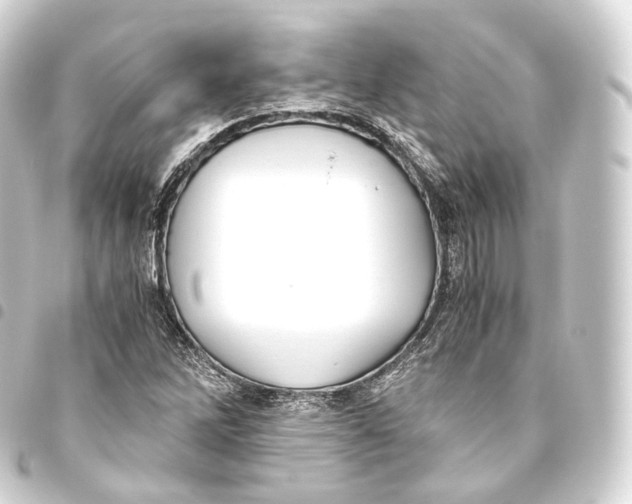 X0000093441262200711021047