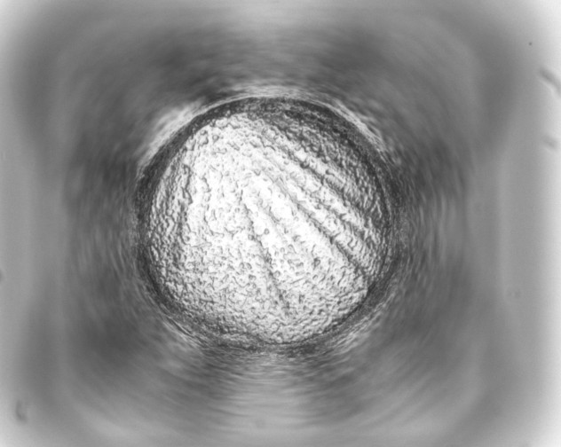 X0000093441263200711021047