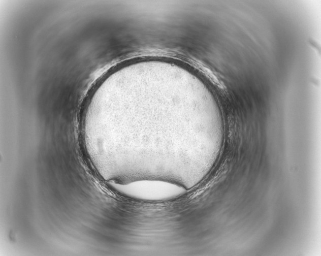 X0000093441264200711021047