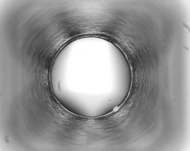 X0000093441265200711021047