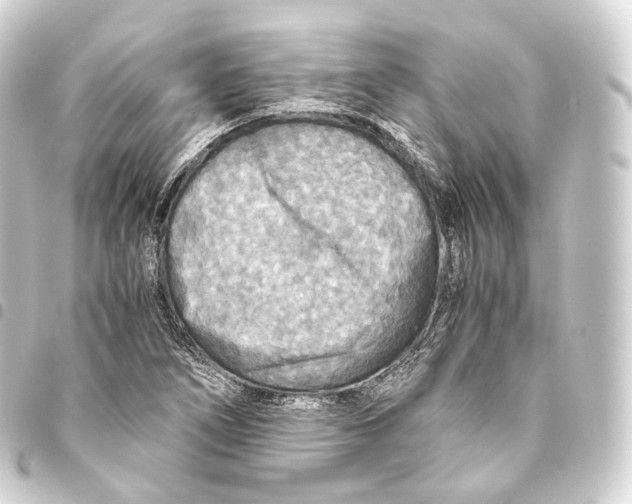 X0000093441266200711021047