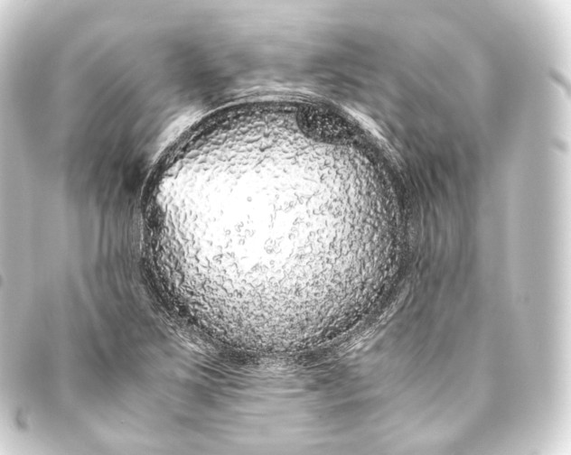 X0000093441267200711021047