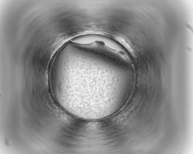 X0000093441268200711021047