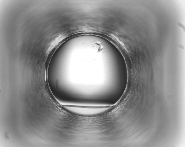 X0000093441269200711021047