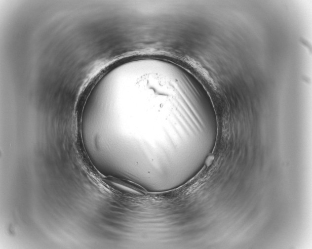 X0000093441270200711021047