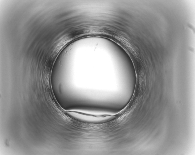 X0000093441273200711021047