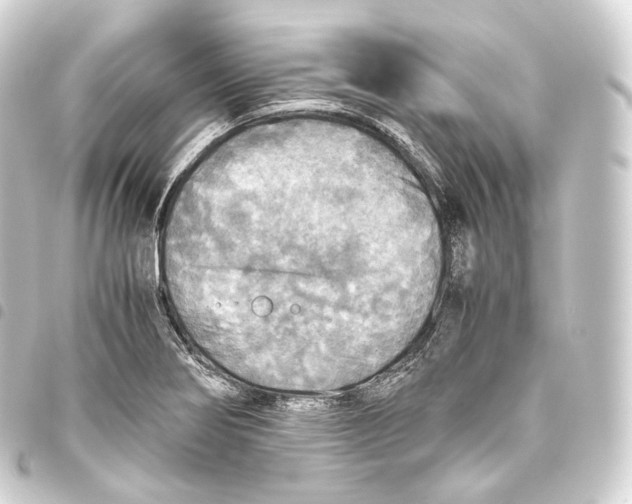 X0000093441274200711021047