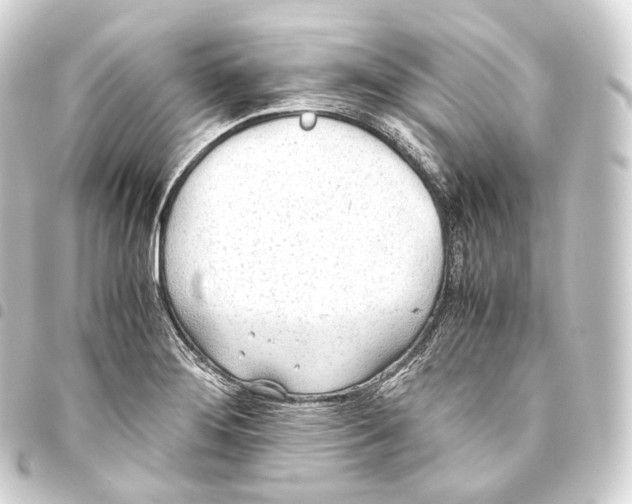 X0000093441276200711021047