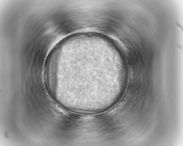 X0000093441278200711021047