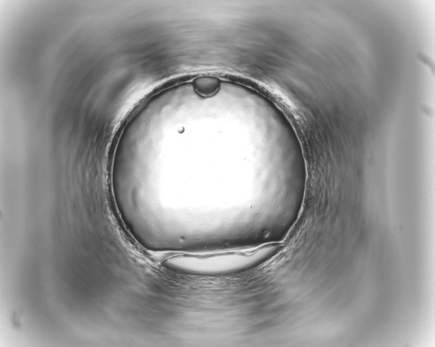 X0000093441279200711021047