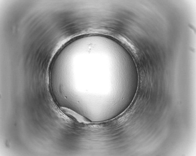 X0000093441280200711021047