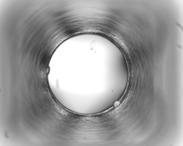 X0000093441281200711021047