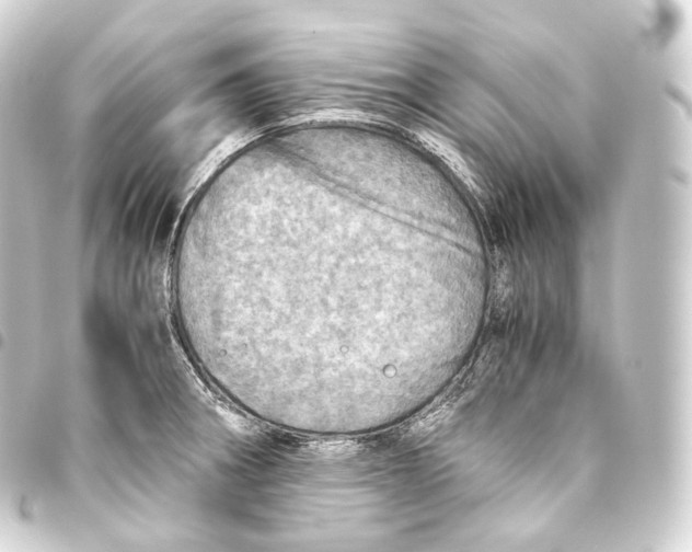 X0000093441282200711021047