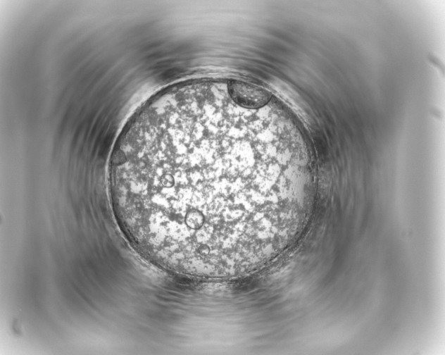 X0000093441283200711021047