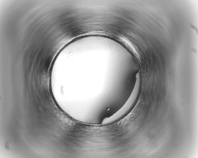 X0000093441284200711021047