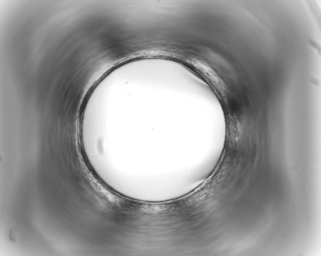 X0000093441286200711021047