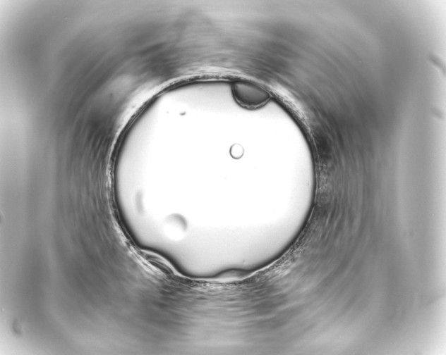 X0000093441287200711021047