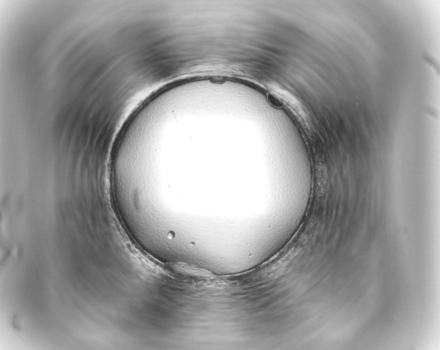 X0000093441288200711021047