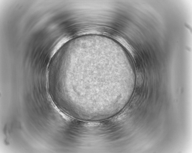 X0000093441290200711021046