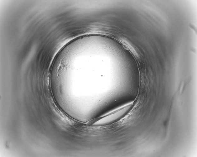 X0000093441292200711021046