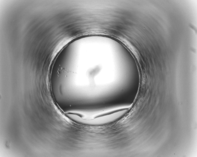 X0000093441293200711021046