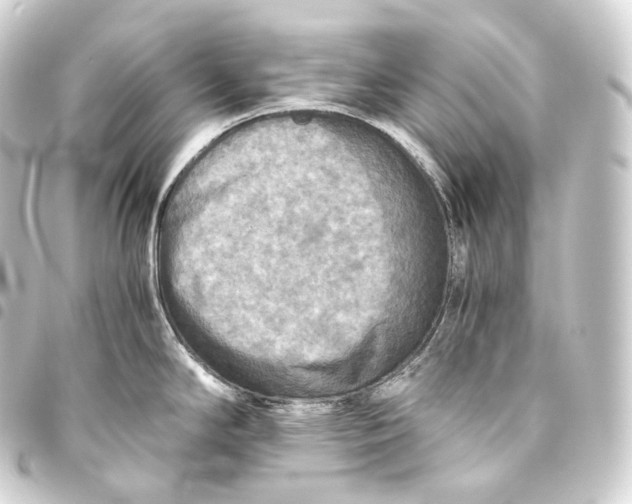 X0000093441294200711021046