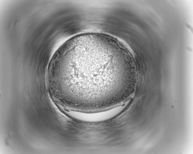 X0000093441295200711021046