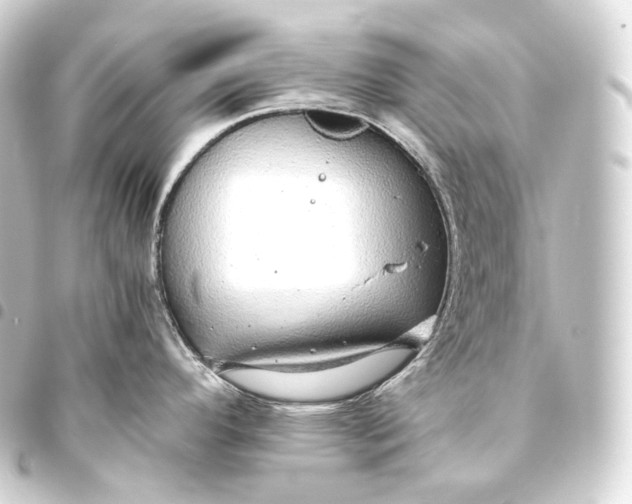 X0000093441296200711021046