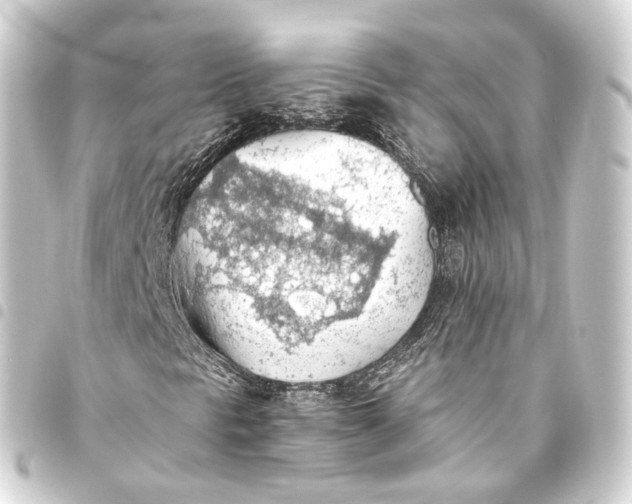 X0000093441297200711021046