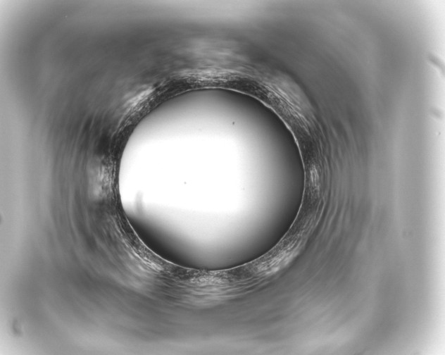 X0000093441300200711021046