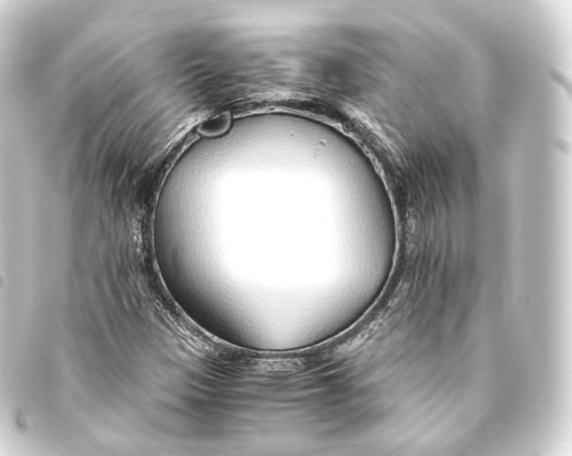 X0000093441305200711021046