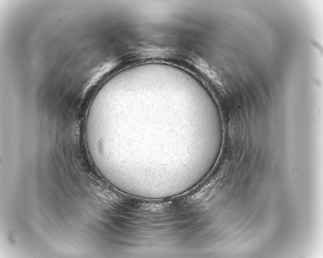 X0000093441309200711021046