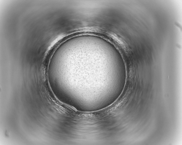 X0000093441310200711021046