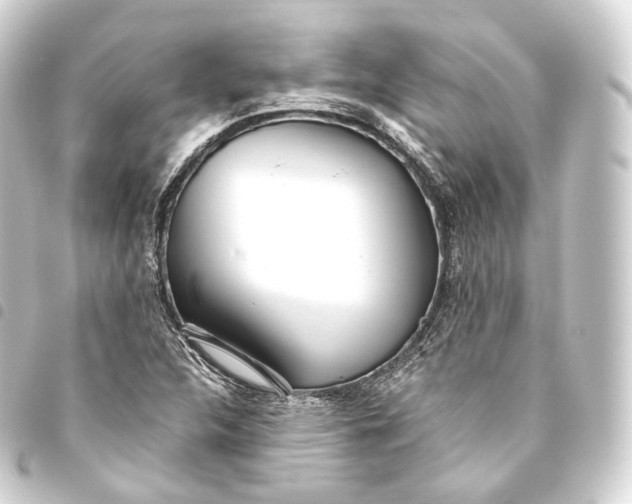 X0000093441312200711021046