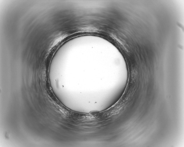 X0000093441315200711021046