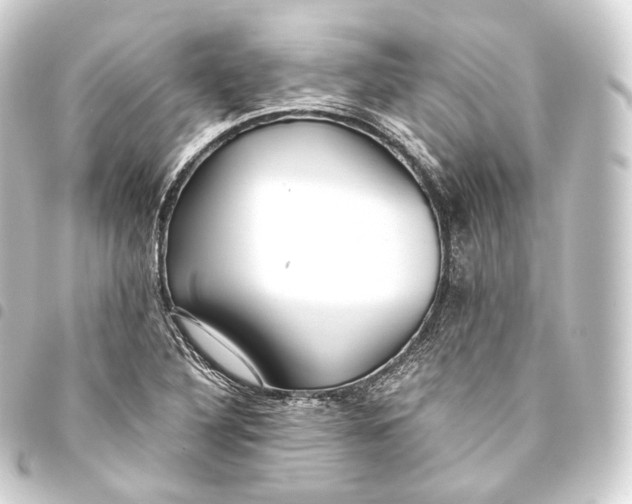 X0000093441316200711021046