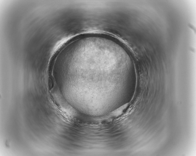 X0000093441319200711021046