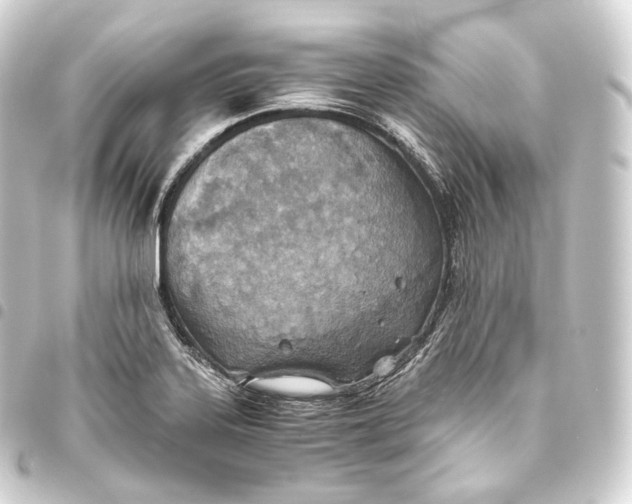 X0000093441323200711021046