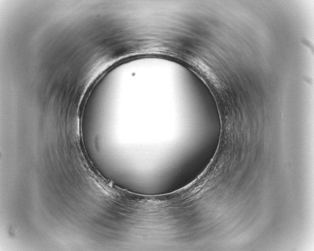 X0000093441324200711021046