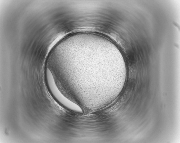 X0000093441325200711021046