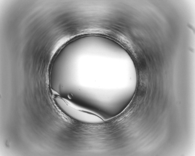 X0000093441328200711021046