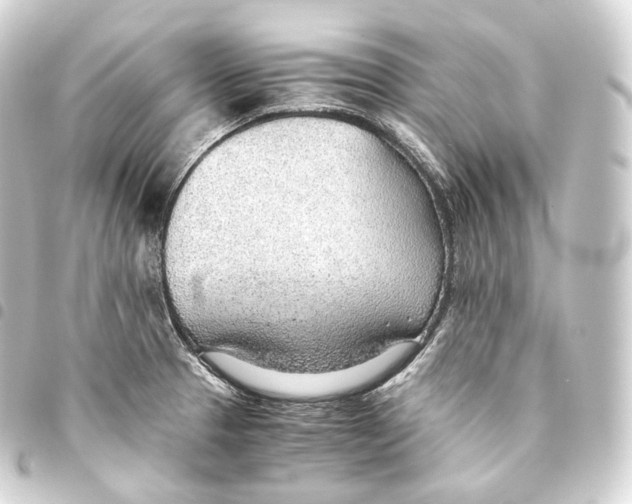 X0000093441329200711021046