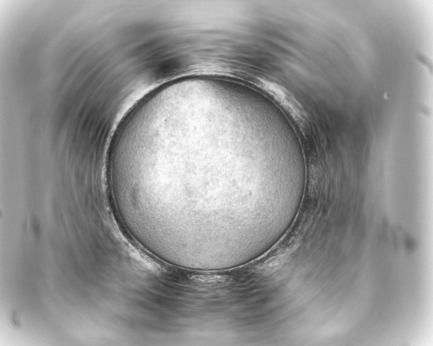 X0000093441331200711021046