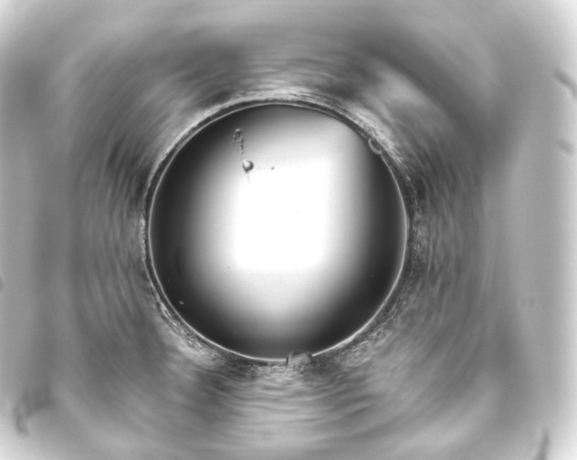 X0000093441332200711021046