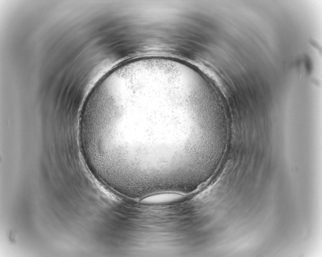 X0000093441333200711021046