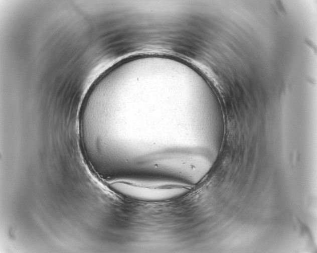 X0000093441335200711021046