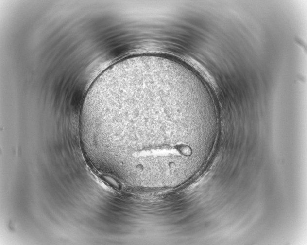 X0000093441337200711021046