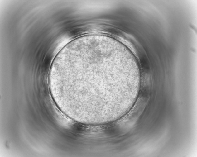 X0000093441338200711021046