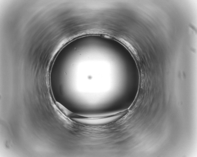 X0000093441342200711021046