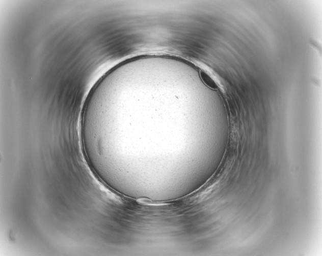 X0000093441343200711021046